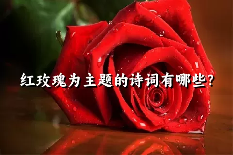 红玫瑰为主题的诗词有哪些？