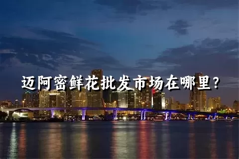 迈阿密鲜花批发市场在哪里？