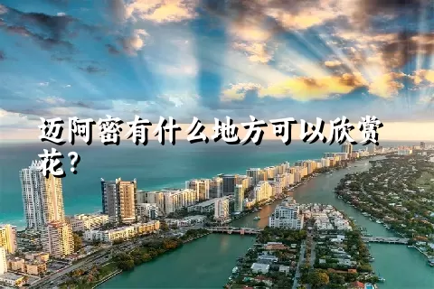 迈阿密有什么地方可以欣赏花？