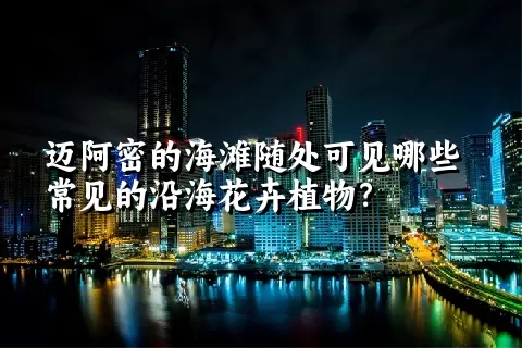 迈阿密的海滩随处可见哪些常见的沿海花卉植物？