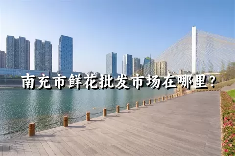 南充市鲜花批发市场在哪里？