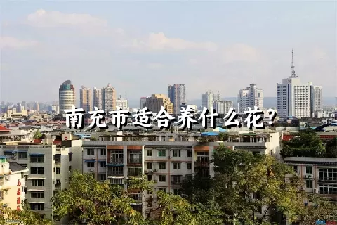 南充市适合养什么花？