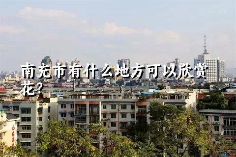 南充市有什么地方可以欣赏花？