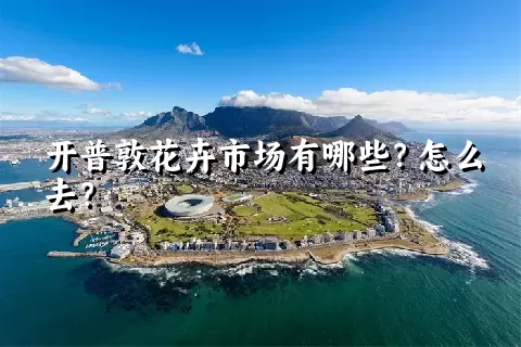 开普敦花卉市场有哪些？怎么去？