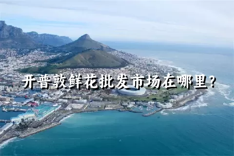 开普敦鲜花批发市场在哪里？