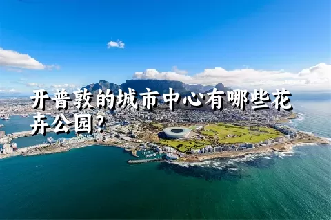 开普敦的城市中心有哪些花卉公园？