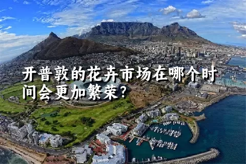 开普敦的花卉市场在哪个时间会更加繁荣？