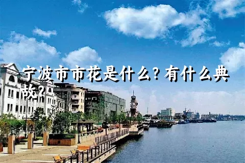 宁波市市花是什么？有什么典故？