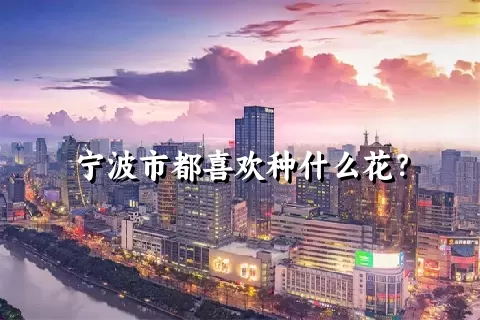 宁波市都喜欢种什么花？