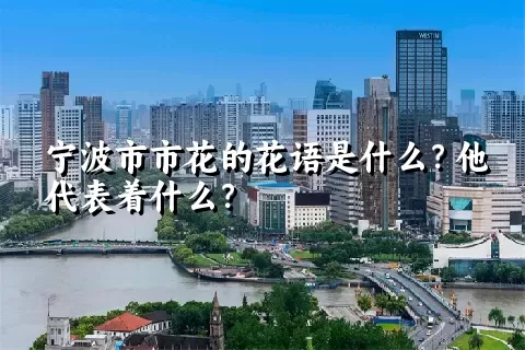 宁波市市花的花语是什么？他代表着什么？