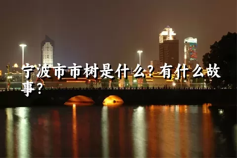 宁波市市树是什么？有什么故事？