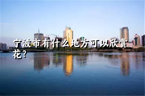 宁波市有什么地方可以欣赏花？