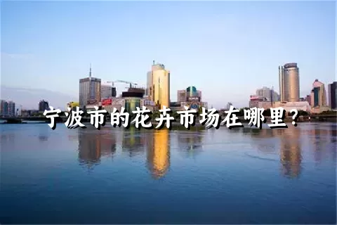 宁波市的花卉市场在哪里？