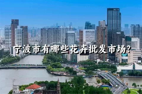 宁波市有哪些花卉批发市场？