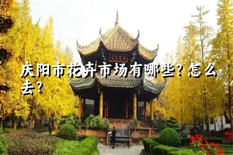 庆阳市花卉市场有哪些？怎么去？