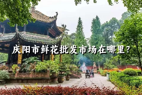 庆阳市鲜花批发市场在哪里？