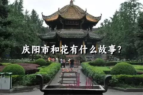 庆阳市和花有什么故事？