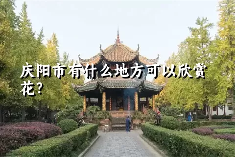 庆阳市有什么地方可以欣赏花？