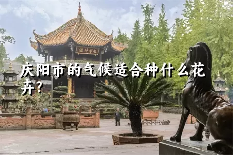 庆阳市的气候适合种什么花卉？