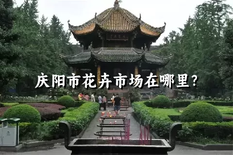 庆阳市花卉市场在哪里？