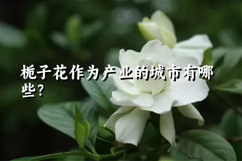 栀子花作为产业的城市有哪些？