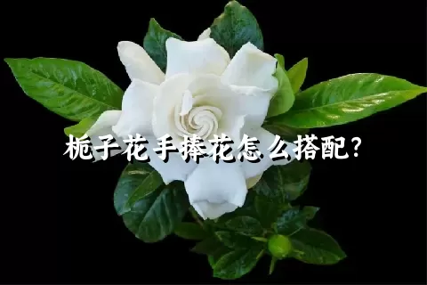 栀子花手捧花怎么搭配？