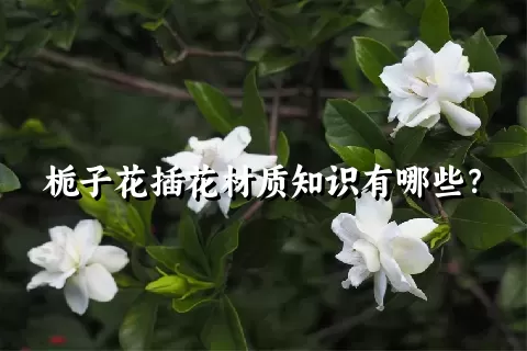 栀子花插花材质知识有哪些？