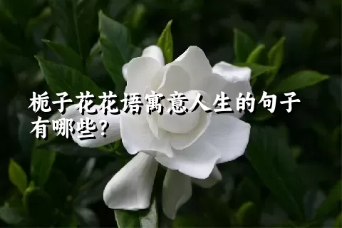 栀子花花语寓意人生的句子有哪些？