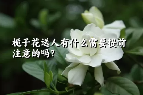 栀子花送人有什么需要提前注意的吗？