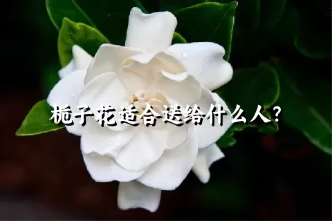 栀子花适合送给什么人？