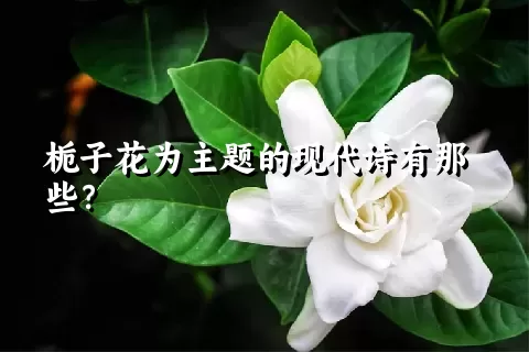 栀子花为主题的现代诗有那些？