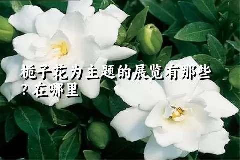 栀子花为主题的展览有那些？在哪里