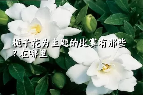 栀子花为主题的比赛有那些？在哪里