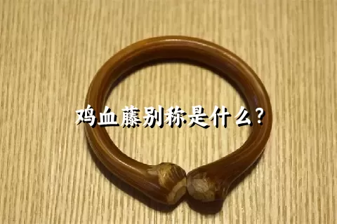 鸡血藤别称是什么？