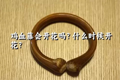 鸡血藤会开花吗？什么时候开花？