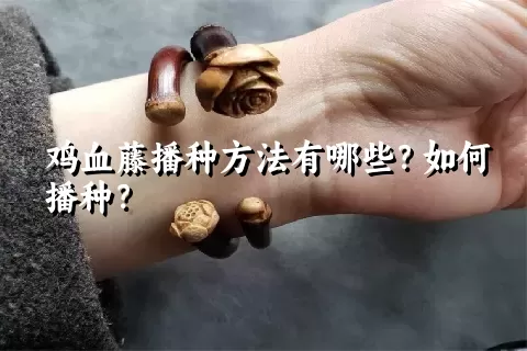 鸡血藤播种方法有哪些？如何播种？