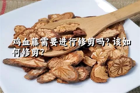 鸡血藤需要进行修剪吗？该如何修剪？