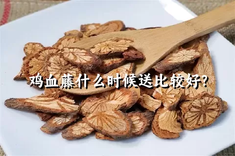 鸡血藤什么时候送比较好？