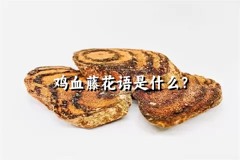 鸡血藤花语是什么？