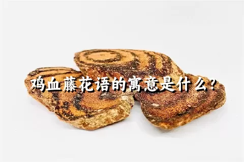 鸡血藤花语的寓意是什么？