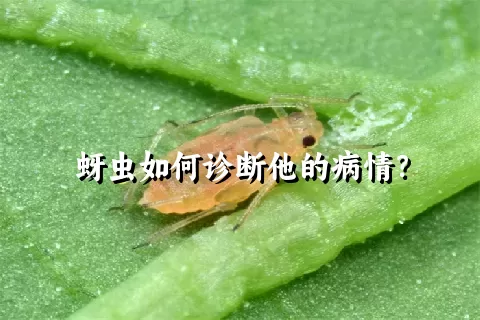 蚜虫如何诊断他的病情？