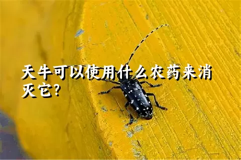 天牛可以使用什么农药来消灭它？