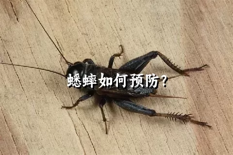 蟋蟀如何预防？