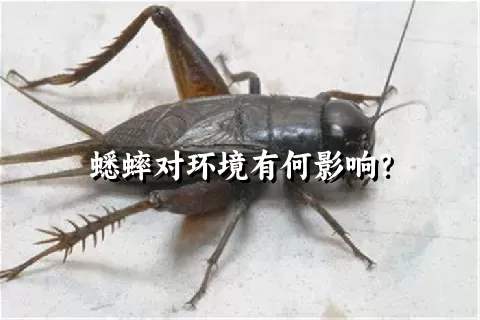 蟋蟀对环境有何影响？