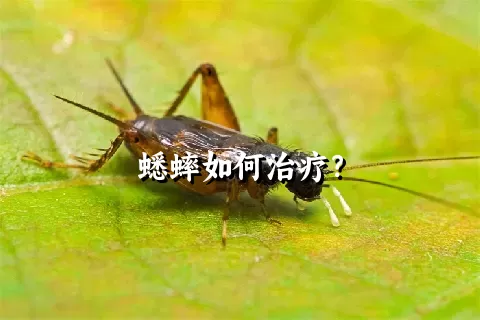 蟋蟀如何治疗？