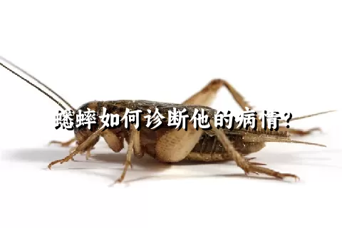 蟋蟀如何诊断他的病情？