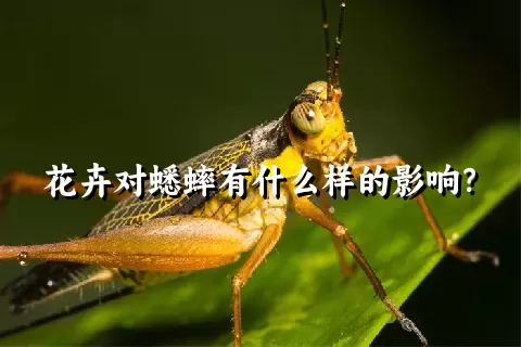 花卉对蟋蟀有什么样的影响？