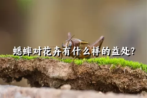 蟋蟀对花卉有什么样的益处？