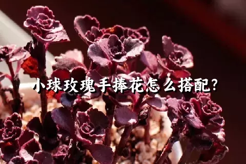 小球玫瑰手捧花怎么搭配？