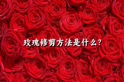 玫瑰修剪方法是什么？